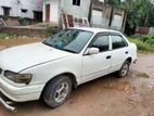 Toyota Corolla Fresh 2001