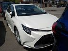 Toyota Corolla G-S Pearl Color (070 2020