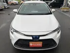 Toyota Corolla G-X Hybrid_Point-4 2020