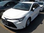 Toyota Corolla G-X PKG WHITE 2020