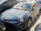 Toyota Corolla Gray Color 2020