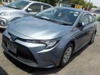 Toyota Corolla GX 2020