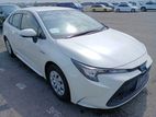 Toyota Corolla GX Pearl 4.5/53k km 2020