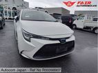 Toyota Corolla GX-PLUS 4grd 2020