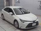 Toyota Corolla hybrid 2020