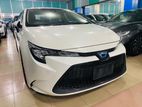 Toyota Corolla Hybrid 2020