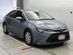 Toyota Corolla hybrid 2021