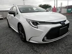Toyota Corolla HYBRID WxB 2021