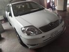Toyota Corolla Limited 2003