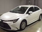 Toyota Corolla Pearl 2019