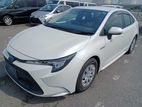 Toyota Corolla S LED Low Price 2020