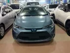 Toyota Corolla SHOWROOM-READY 2020