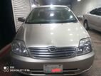 Toyota Corolla silvar colour 2004