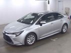 Toyota Corolla silver 2019