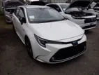 Toyota Corolla TOURING DOUBLE BIBEE 2020