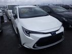 Toyota Corolla TOURING DOUBLE BIBEE 2020