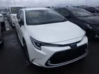 Toyota Corolla TOURING DOUBLE BIBEE 2020
