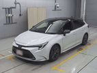 Toyota Corolla Touring WXB 2020