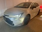 Toyota Corolla Touring Wxb Package 2020