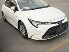 Toyota Corolla white color 2019