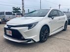 Toyota Corolla WXB 2019