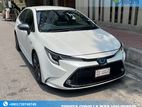 Toyota Corolla WXB 2019