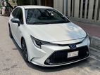 Toyota Corolla WXB 2019