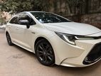 Toyota Corolla WXB 2019