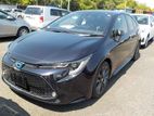 Toyota Corolla WXB 2019