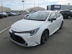 Toyota Corolla WXB 2019