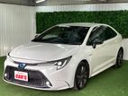 Toyota Corolla WXB 2020