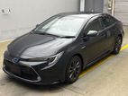Toyota Corolla WXB 2020
