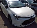 Toyota Corolla WxB 2020