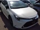Toyota Corolla WxB 2020