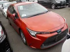 Toyota Corolla WxB 2020