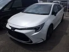 Toyota Corolla WXB 2020