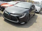 Toyota Corolla WXB 4 POINT 2020