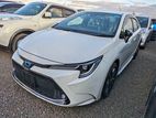 Toyota Corolla WxB 4.5 Grade 😱 2020