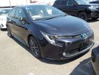 Toyota Corolla WXB 4.5 POINT 2019