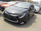 Toyota Corolla WXB 4POINT 2020