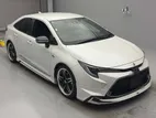 Toyota Corolla WXB HV full bodykit 2021