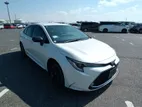 Toyota Corolla WXB HY FULL LOADED 2021