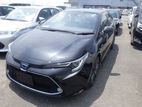 Toyota Corolla WXB, New Shape 2020