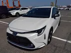 Toyota Corolla WxB, Non Hybrid, 2020