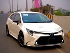 Toyota Corolla wxb pearl 2019