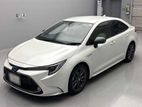 Toyota Corolla WXB pearl 2020