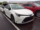 Toyota Corolla WXB Pearl 2020