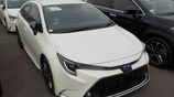 Toyota Corolla WXB Pearl 2021
