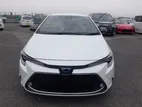 Toyota Corolla WXB Pearl 4/58000 km 2020