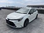 Toyota Corolla WXB Pearl 4 Point 2020
